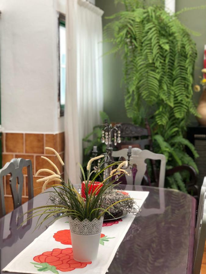 Casa Charry Apartment Tegueste Екстериор снимка
